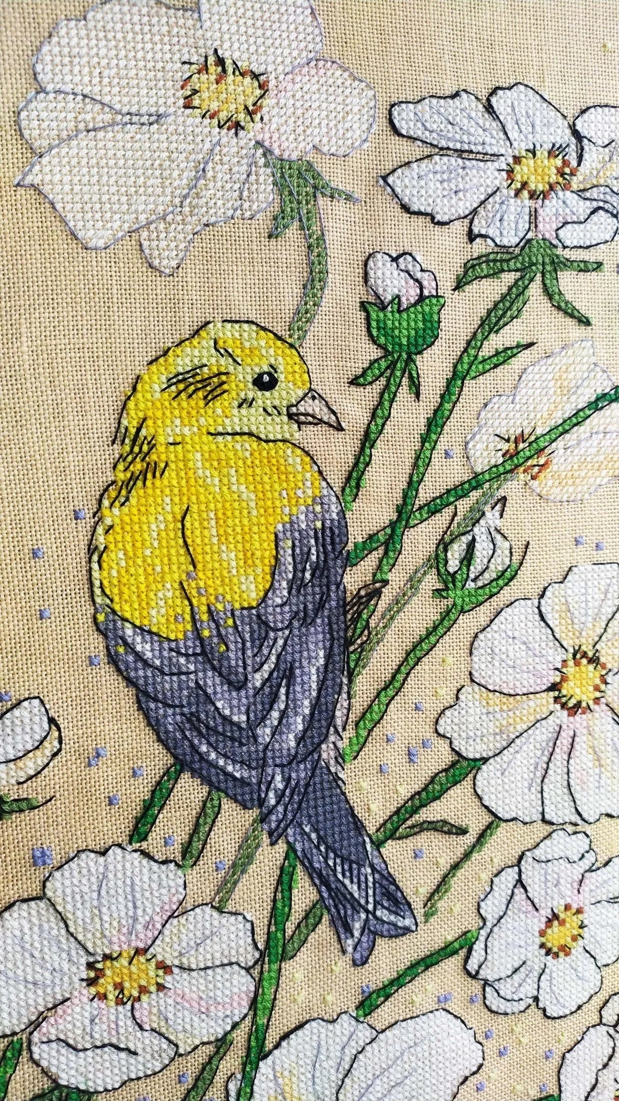 White cosmes - PDF Cross Stitch Pattern-1