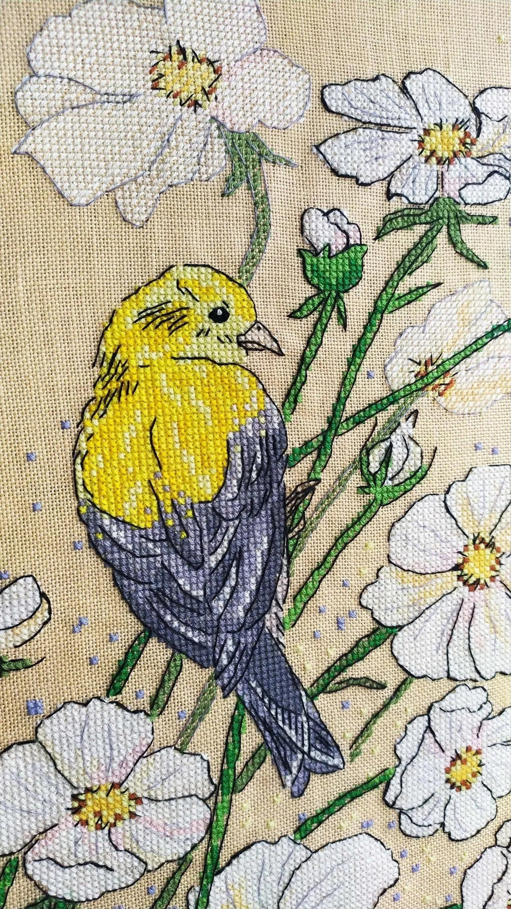 White cosmes - PDF Cross Stitch Pattern-1