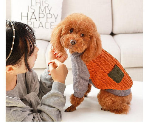 Cozy Cotton Dog Sweater-1